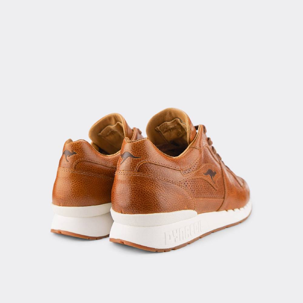 Kangaroos VOLTERA COIL Speichern exportieren
