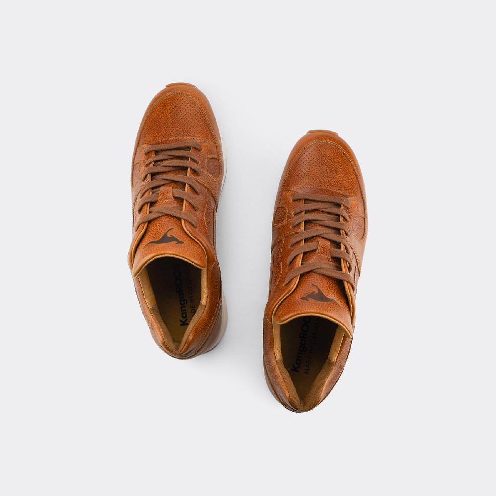 Kangaroos VOLTERA COIL Speichern exportieren
