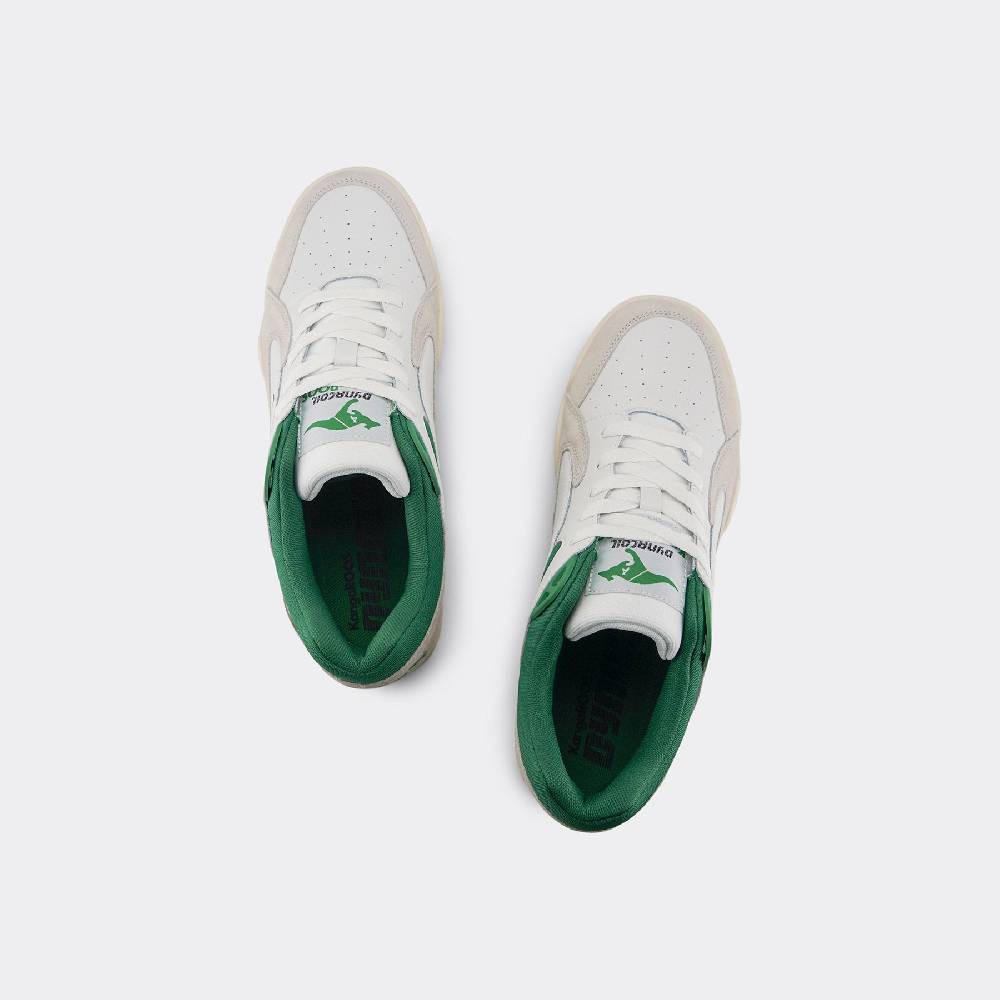 Kangaroos 3 POINTER 2.0 Limitierter Zeitrabatt