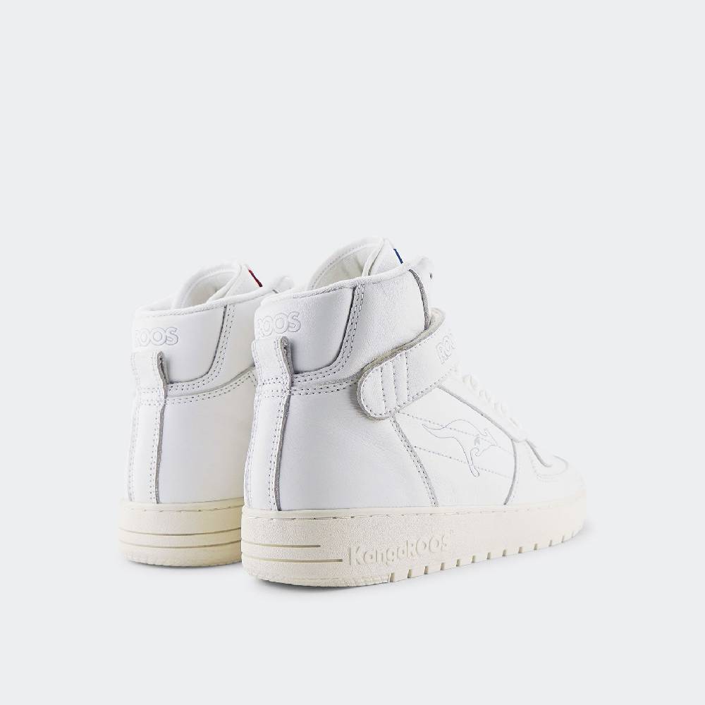 Kangaroos GAME HI Zeitlich begrenztes Angebot