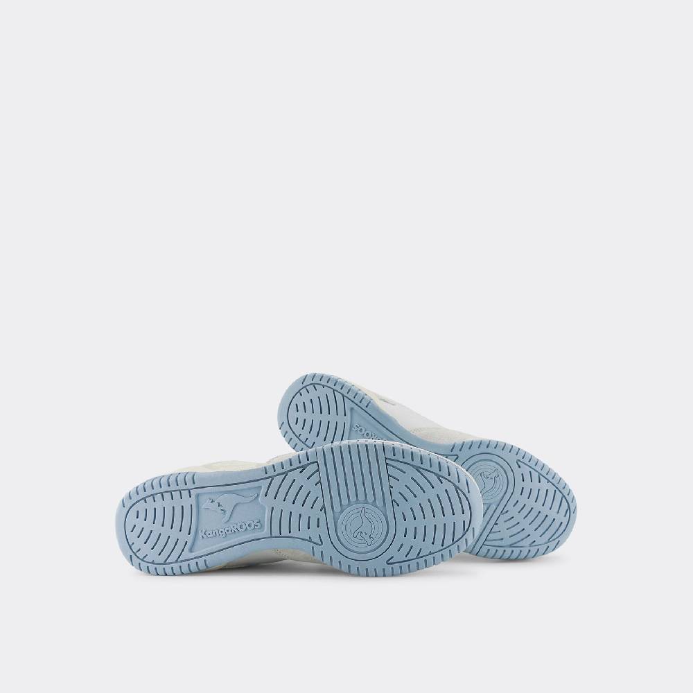 Kangaroos TRUE POINTER Tägliche Deals