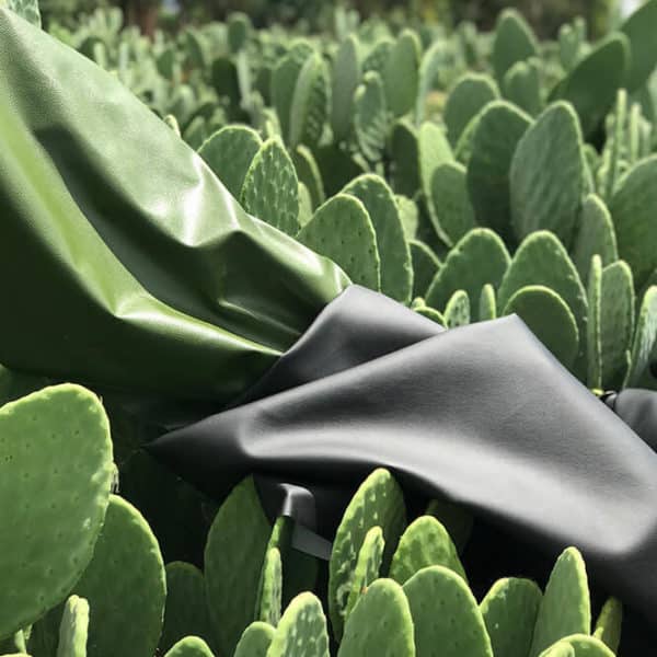 Pololo Veganer Kaktus Sneaker Schwarz Neuheiten