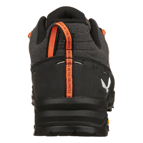 Salewa Alp Trainer 2 Schuh Herren zollfrei