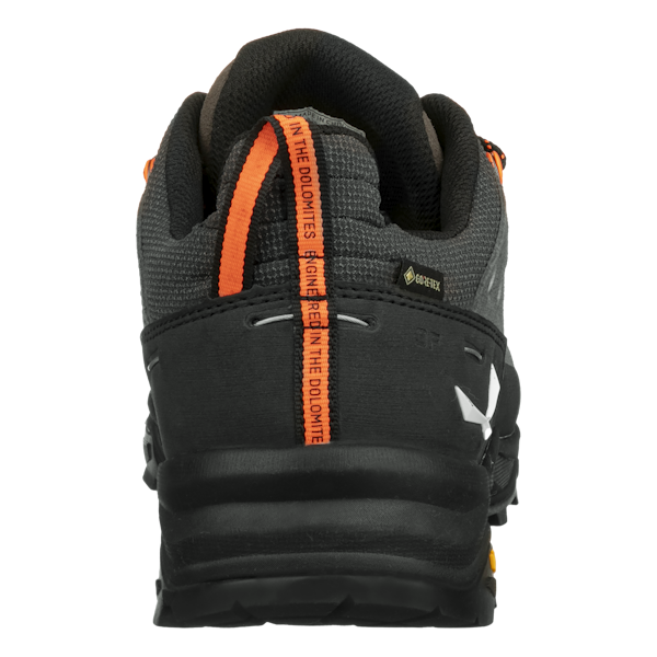 Salewa Alp Trainer 2 Gore-Tex® Schuh Herren Große Rabatte