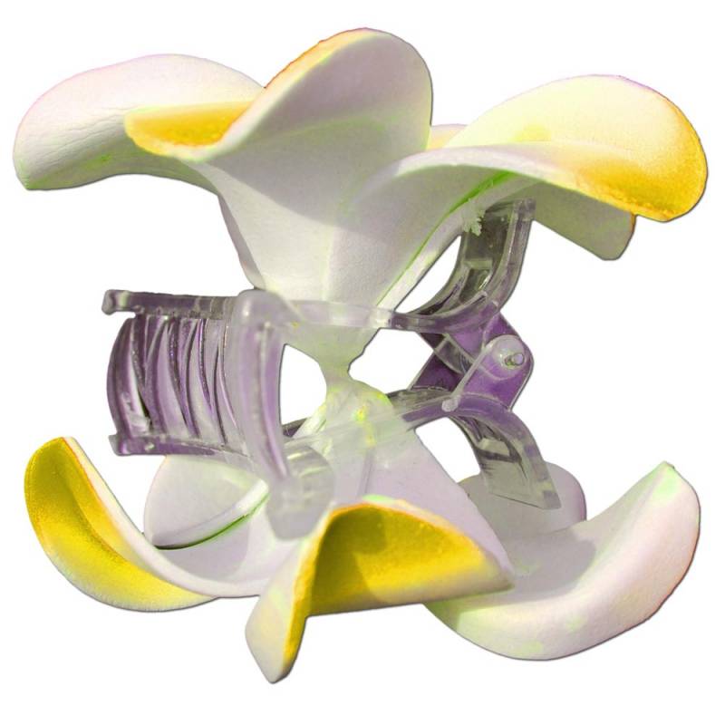 Seestern Sportswear SEESTERN Bali Hawaii Haarklammer 2 Frangipani Blüten aus Moosgummi, Haarspange Gelb Kostenlose Rückgabe
