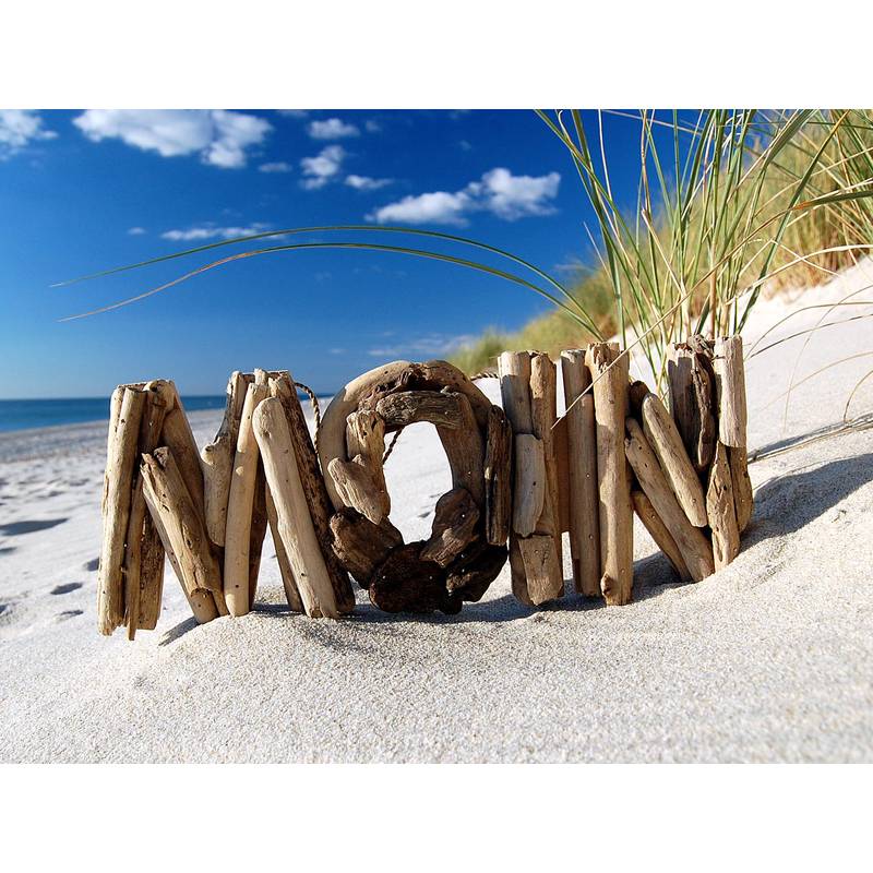 Seestern Sportswear SEESTERN Treibholz Deko m. MOIN Motiv Wanddeko Driftwood Surfing Schild Holzdeko /2345 Fabrikverkauf