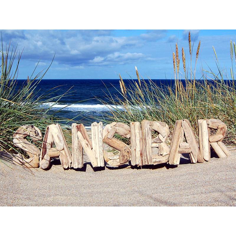 Seestern Sportswear SEESTERN Treibholz Deko m. SANSIBAR Motiv Wanddeko Driftwood Zansibar Schild Holzdeko /2346 Blitzverkäufe