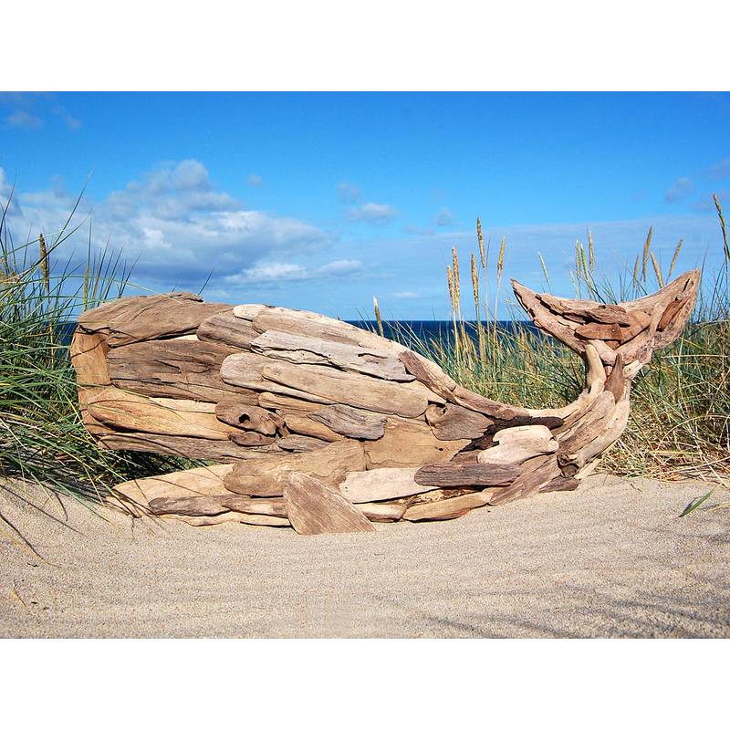 Seestern Sportswear SEESTERN Treibholz Deko m.Wal (106 cm) Motiv Wanddeko Driftwood Holzdeko /2341 Limitierter Zeitrabatt