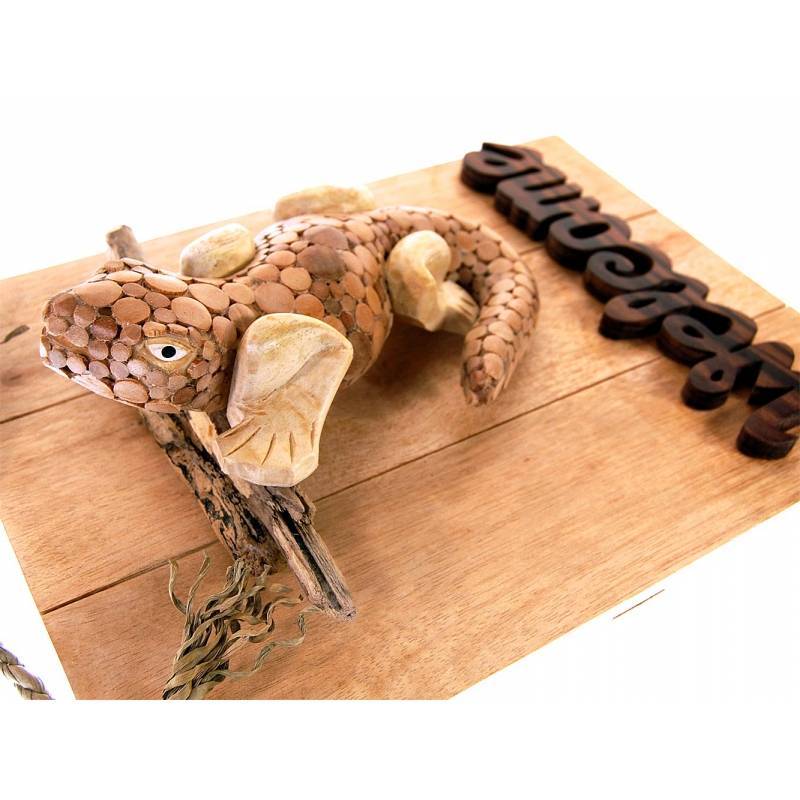 Seestern Sportswear Seestern Deko Teak Holz Haustür Tür Schild Welcome mit Gecko Motiv 40 x 30 cm /1614 Flash Sale