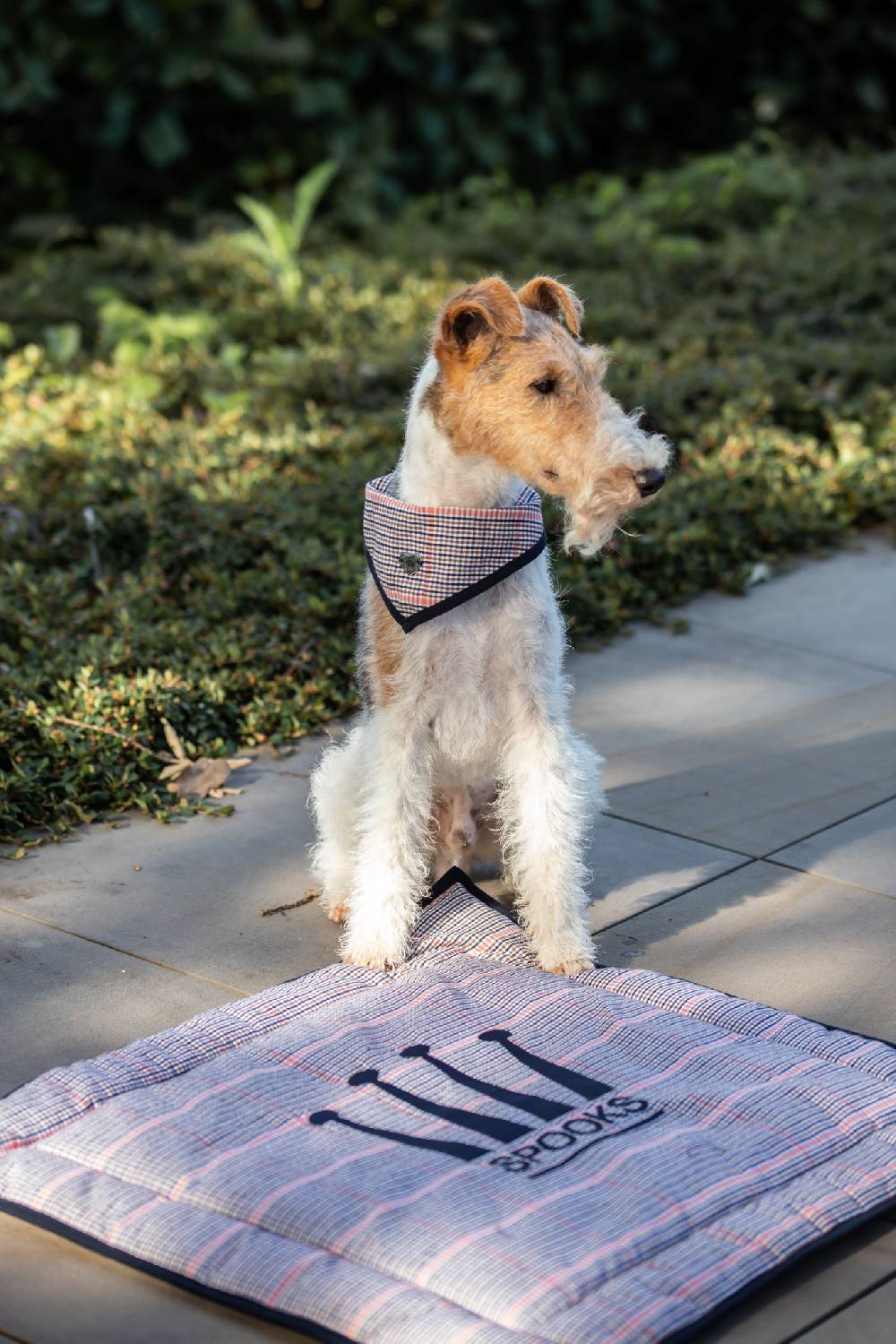 Spooks Dog Bandana Pippa Muttertagsangebot