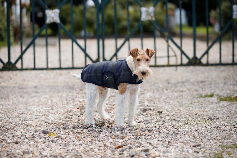Spooks Dog Coat Olssi 2025