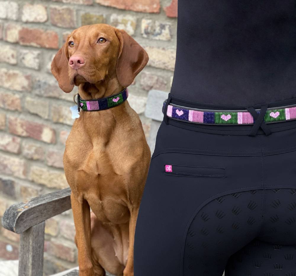 Spooks Hundehalsband Beads Auslauf