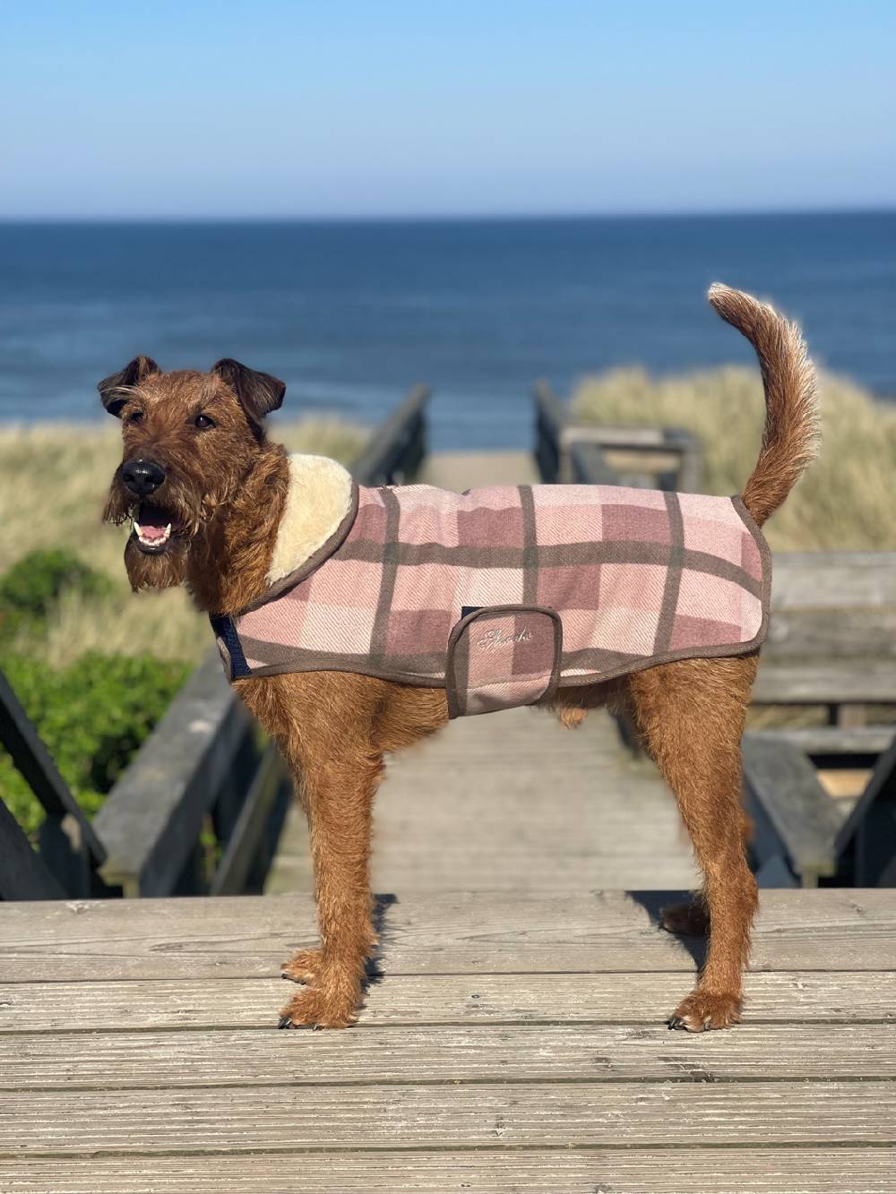 Spooks Dog Coat Olssi Verkauf