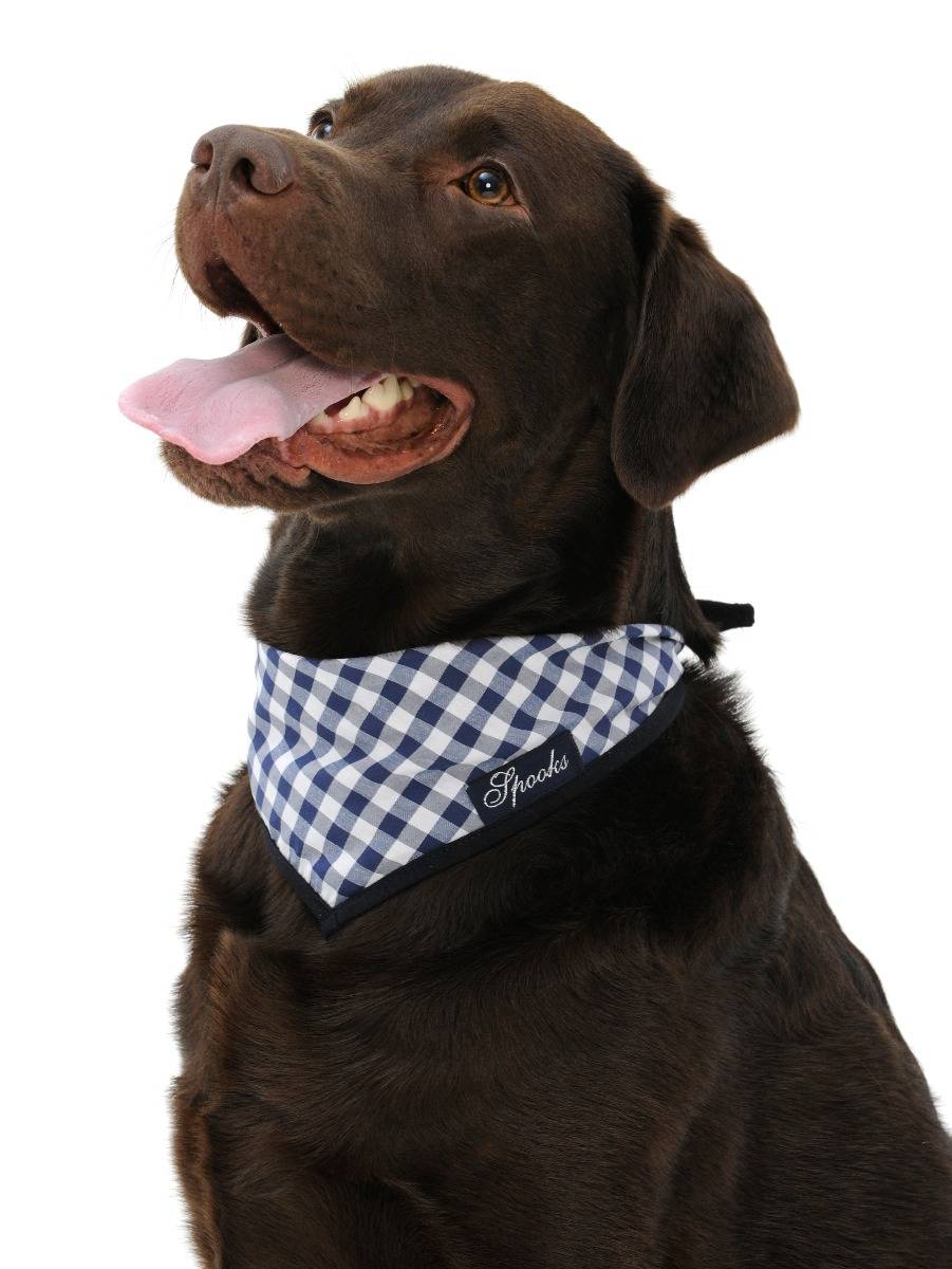 Spooks Dog Necker Chief Kostenloser Versand