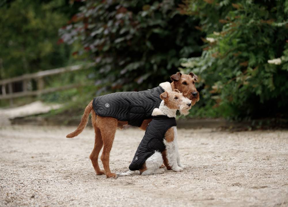 Spooks Dog Coat Classic II Fabrik Onlineshop