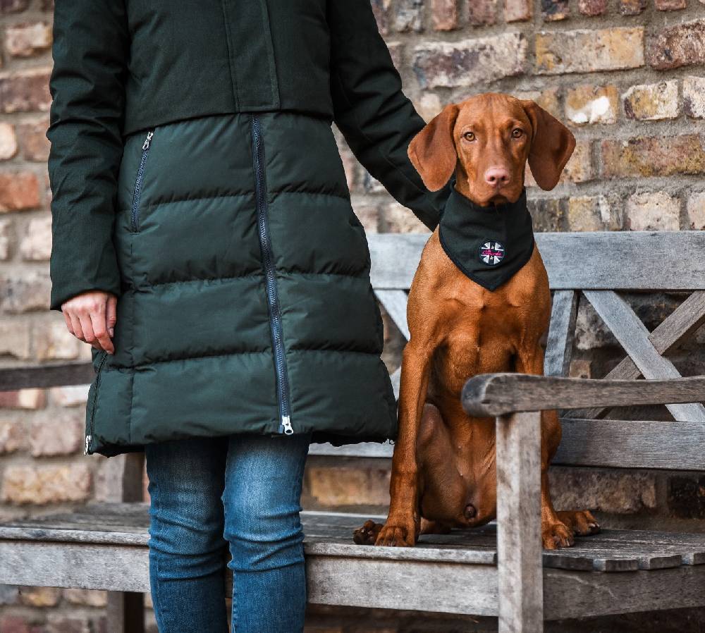 Spooks Dog Bandana Fabrikpreis