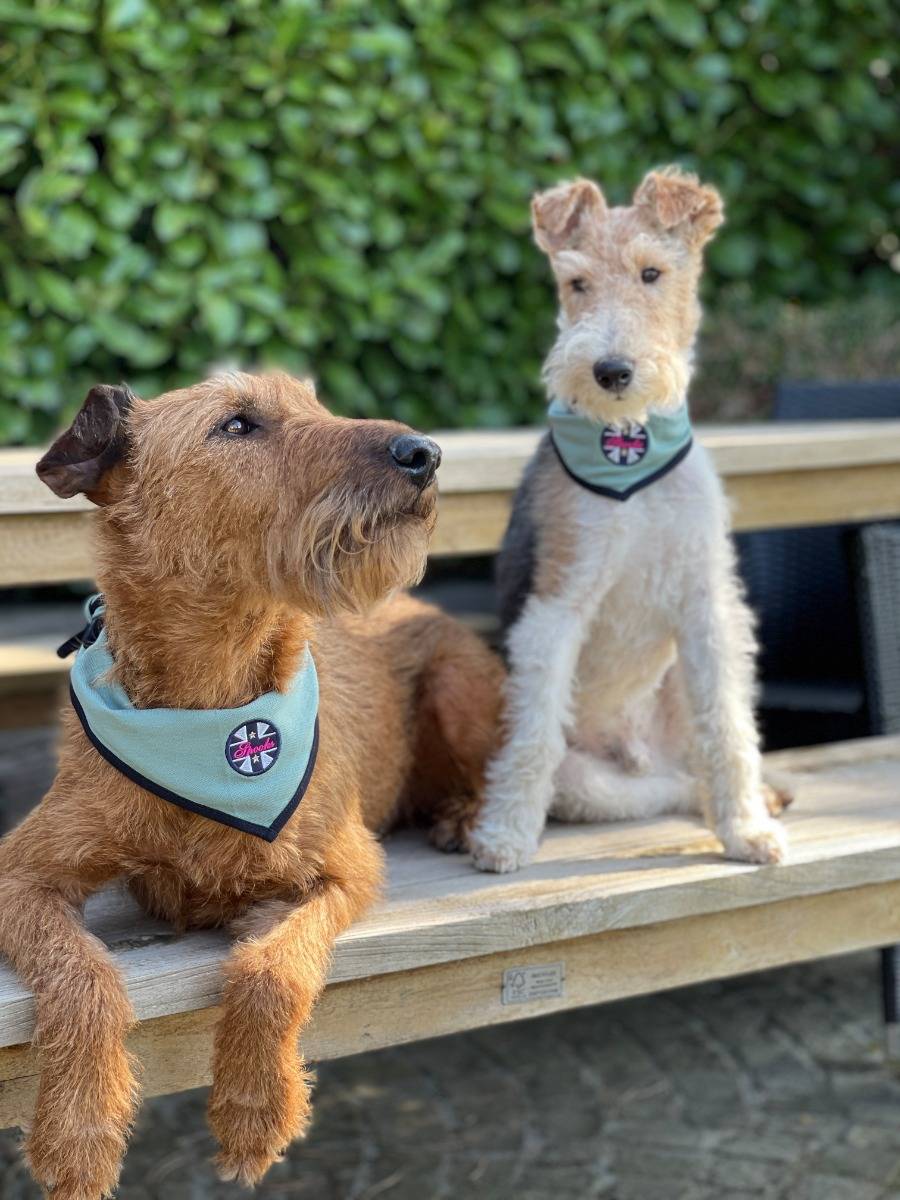 Spooks Dog Bandana Preisnachlass