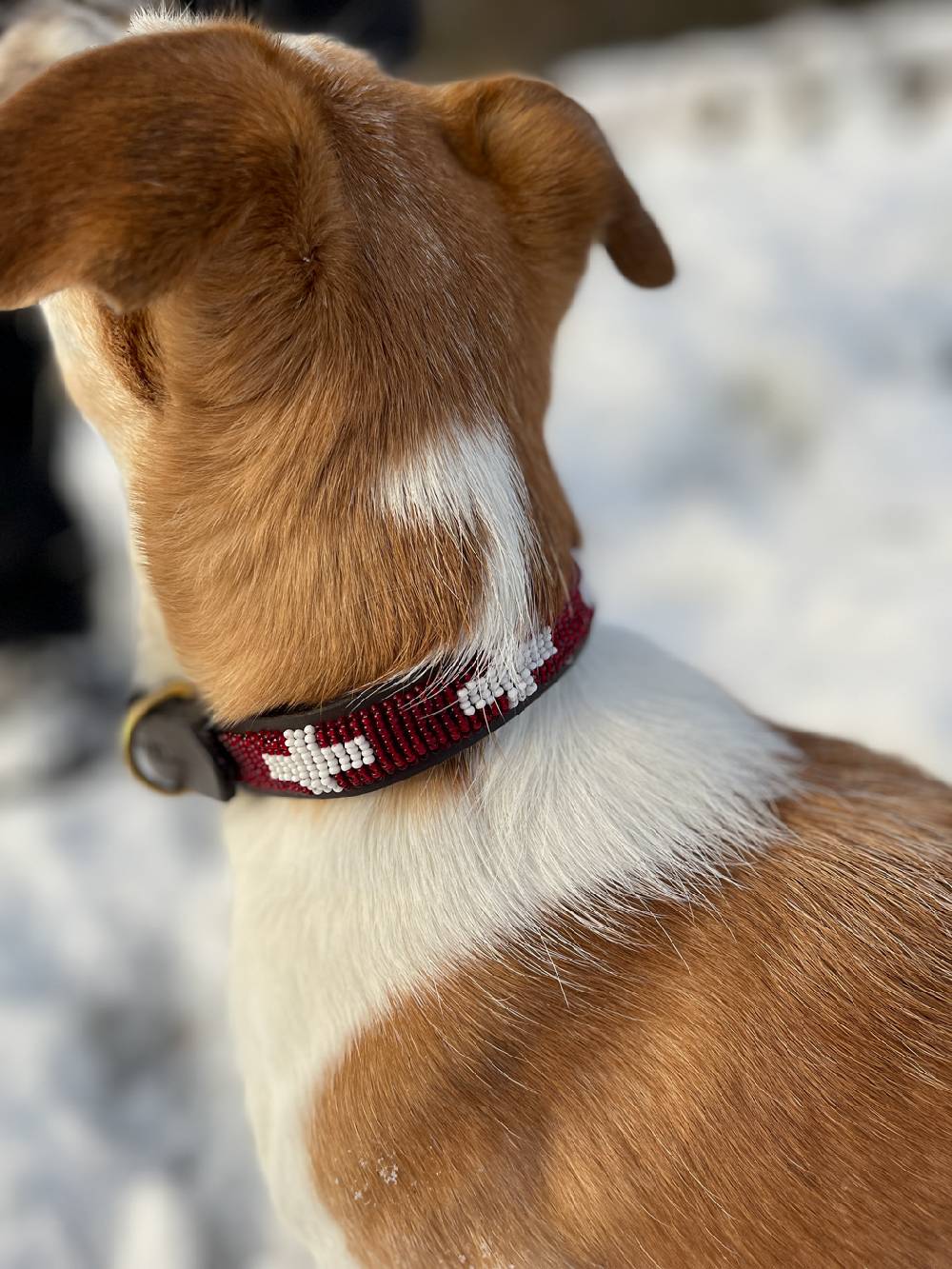Spooks Dog Collar Beads Cyber Monday