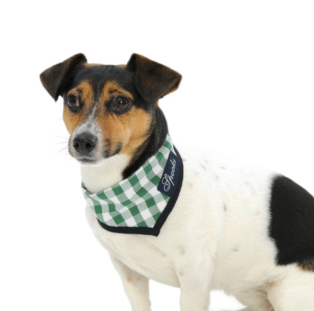 Spooks Dog Necker Chief Top Angebot