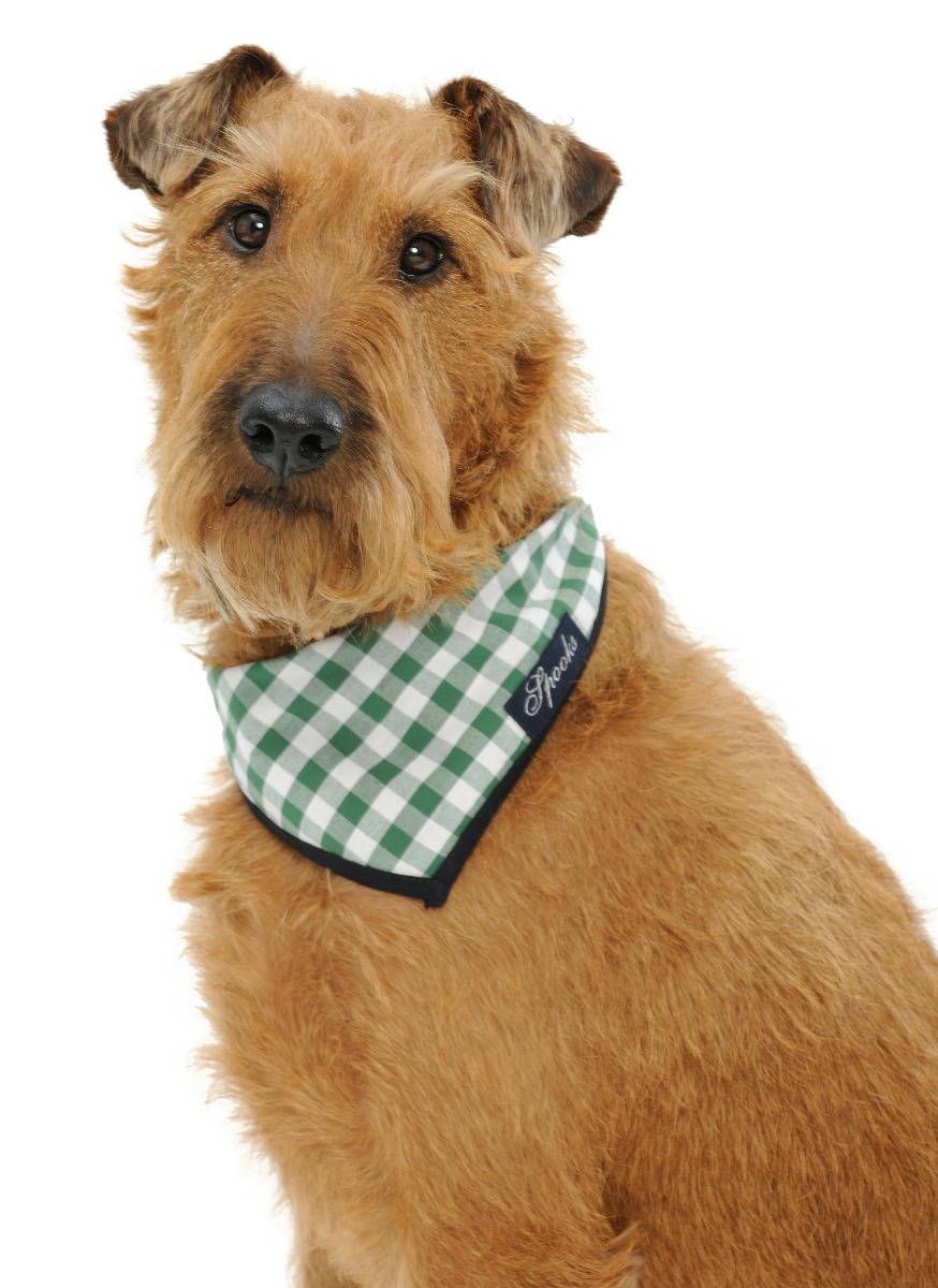 Spooks Dog Necker Chief Top Angebot