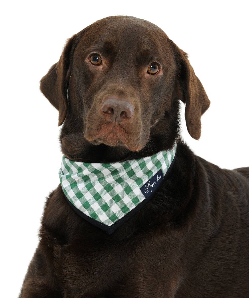 Spooks Dog Necker Chief Top Angebot