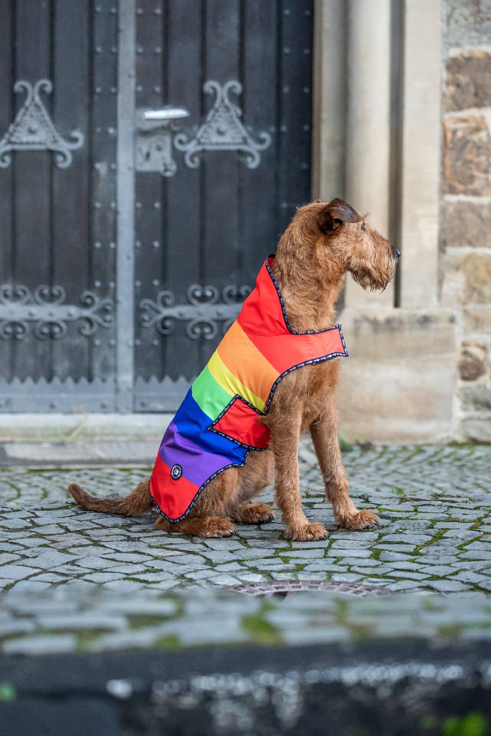 Spooks Dog Rain Coat Online Outlet