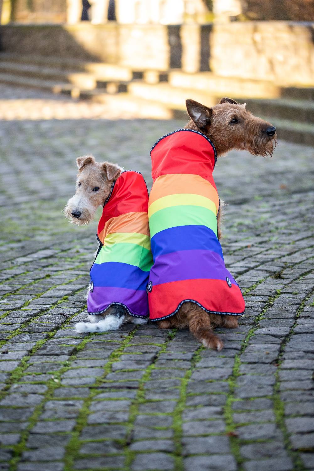 Spooks Dog Rain Coat Online Outlet