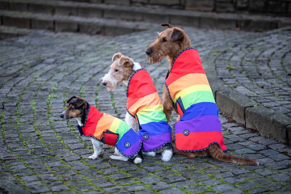 Spooks Dog Rain Coat Online Outlet