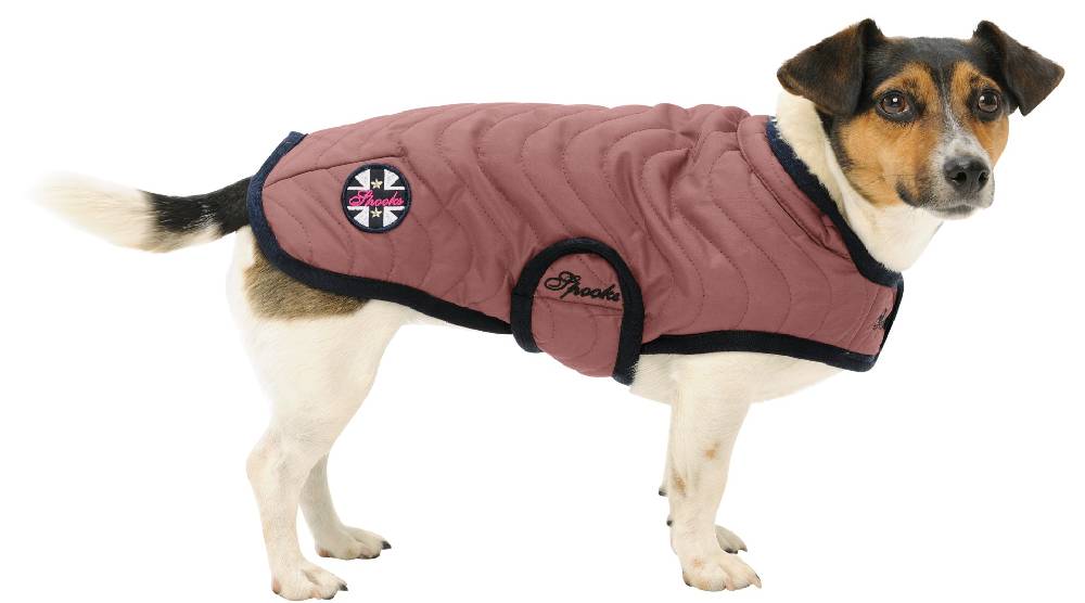 Spooks Dog Coat Classic Zeitlich begrenztes Angebot