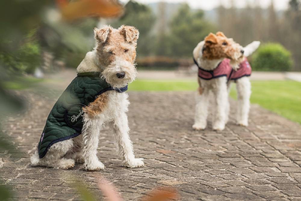 Spooks Dog Coat Classic Zeitlich begrenztes Angebot