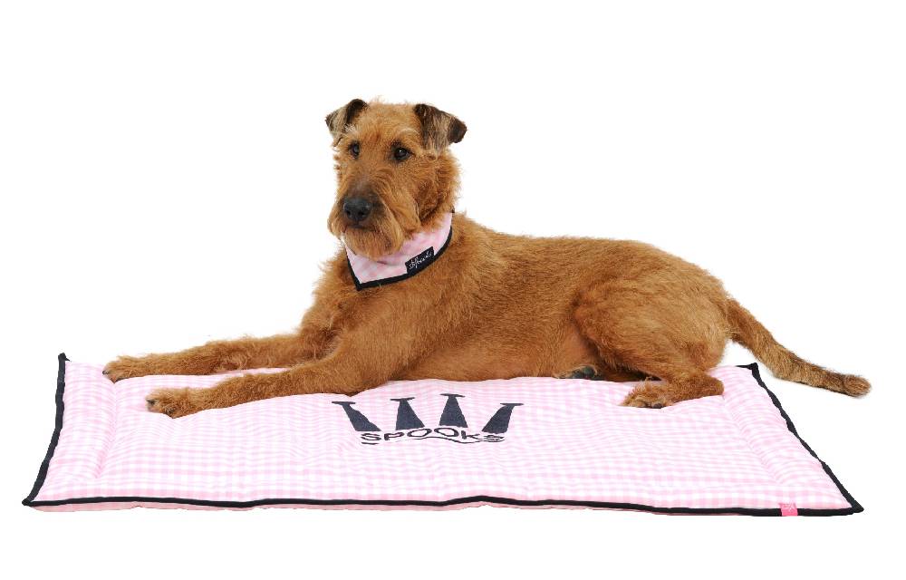 Spooks Dog Plaid 100 x 73 cm Exklusive Angebote