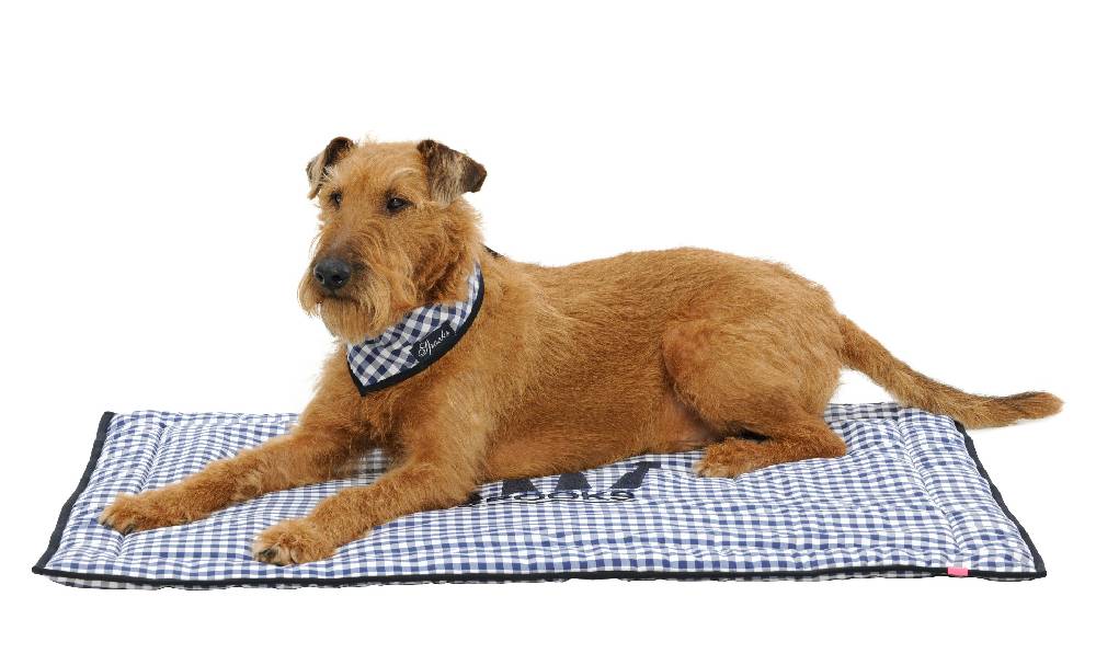 Spooks Dog Plaid 100 x 73 cm Blitzangebot