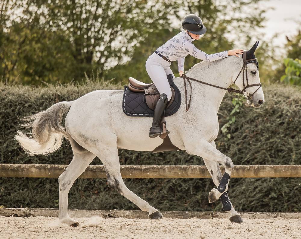 Spooks Tendon Boots Neuheiten