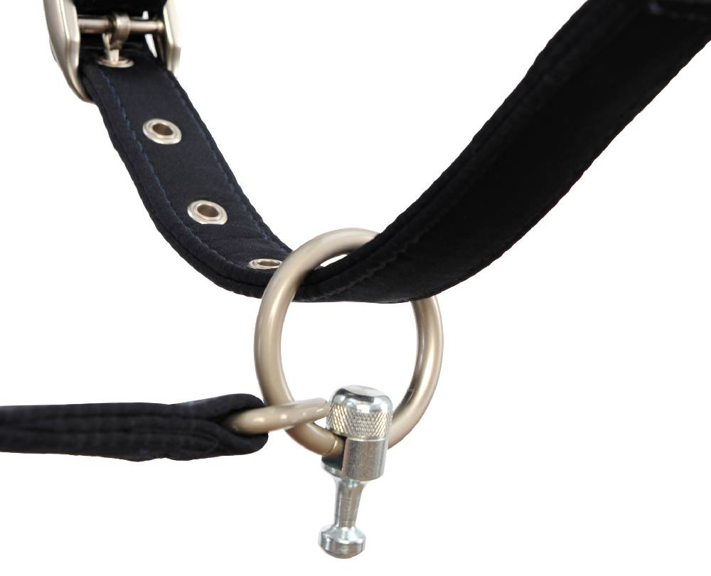 Spooks Magnetic Lead Rope by GOLEYGO Discount Store für neue Produkte