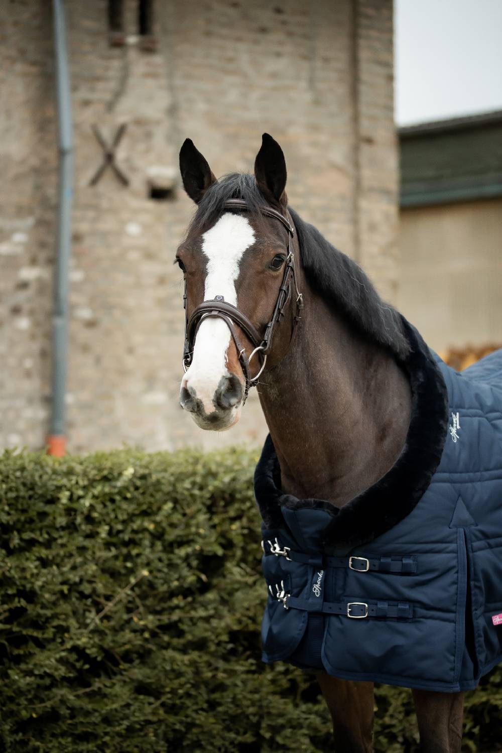 Spooks Stable Rug Cellia 300g Super Rabatt