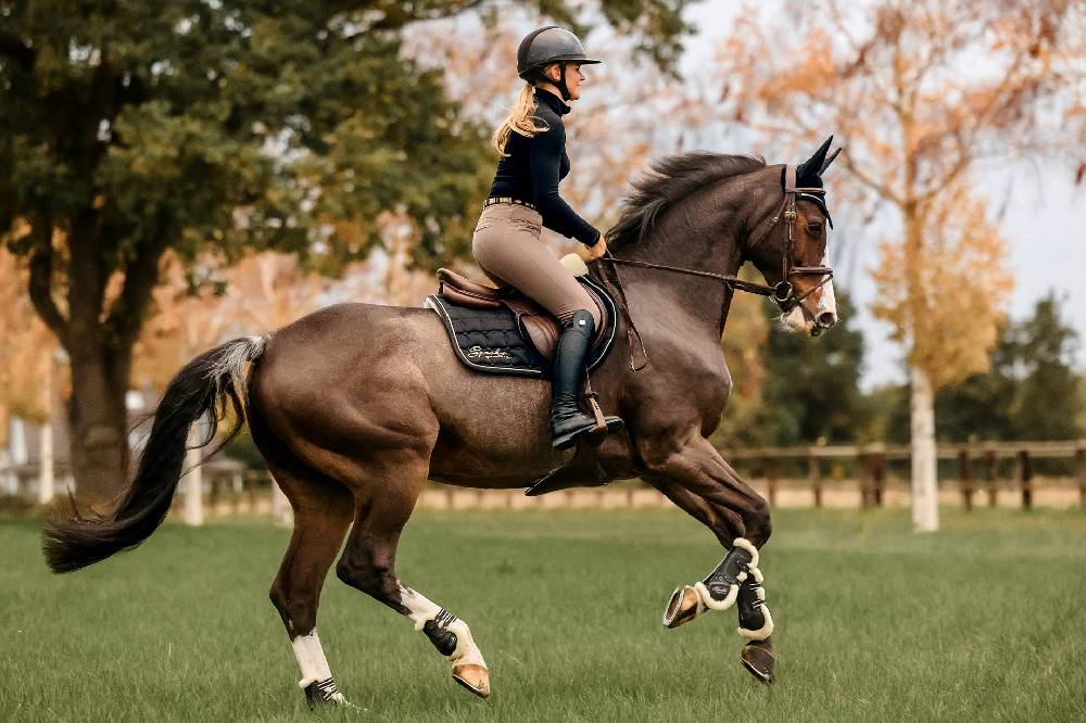 Spooks Tendon Boots Teddy Günstig kaufen
