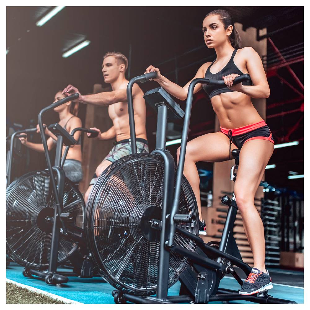 Sport Tec ASSAULT FITNESS AirBike Classic Weihnachtsangebot
