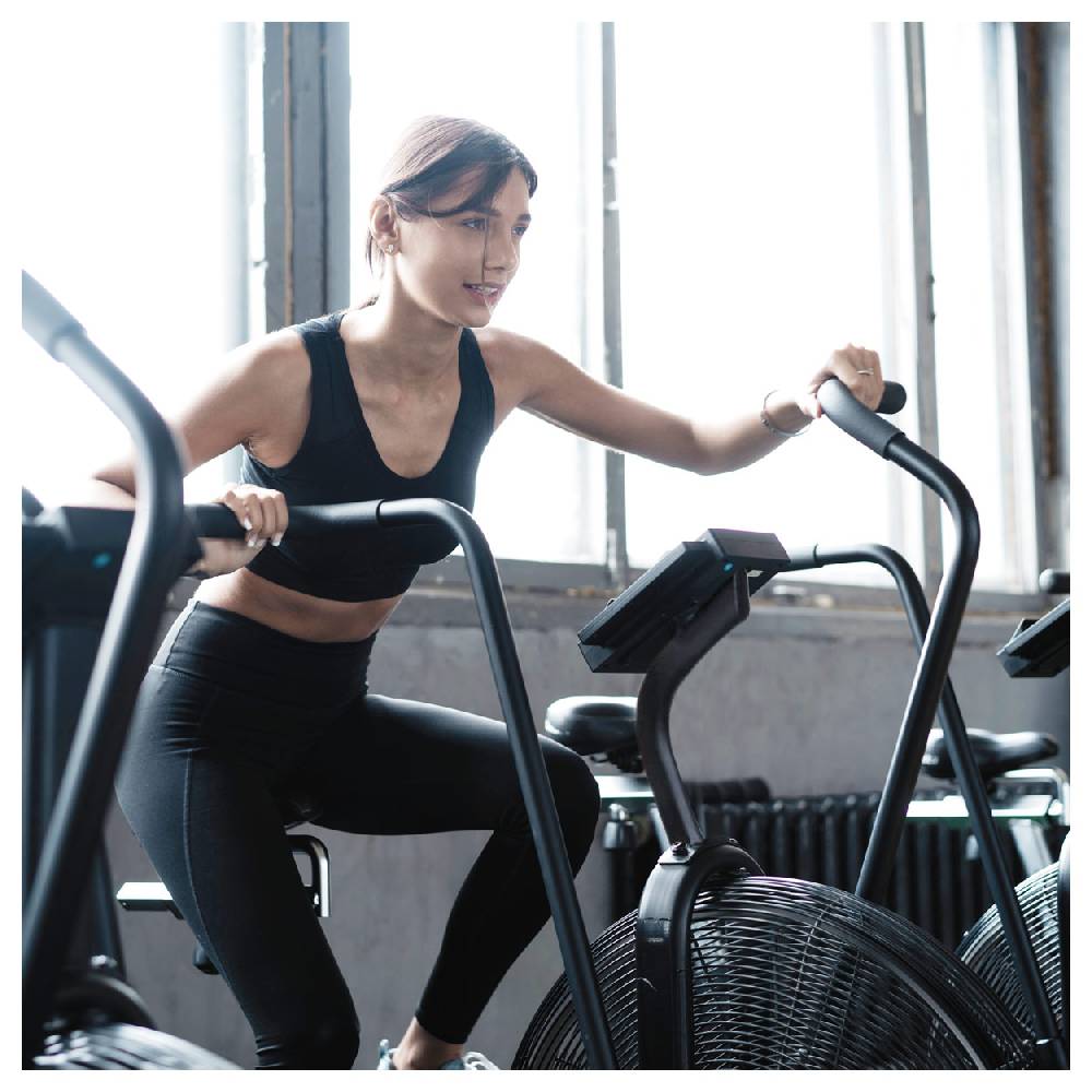 Sport Tec ASSAULT FITNESS AirBike Pro Osterangebot