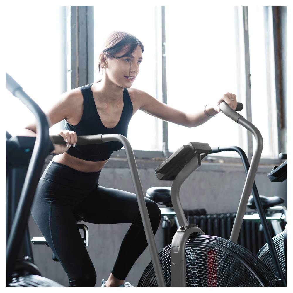 Sport Tec ASSAULT FITNESS AirBike Elite Vatertagsangebot