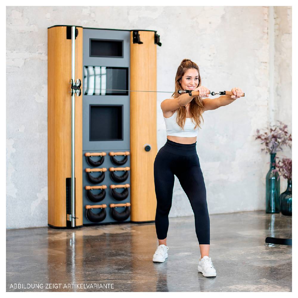 Sport Tec NOHrD Wall Compact, Seilzug, Skitrainer, 8 Swing Hanteln, Club-Sport Günstig kaufen