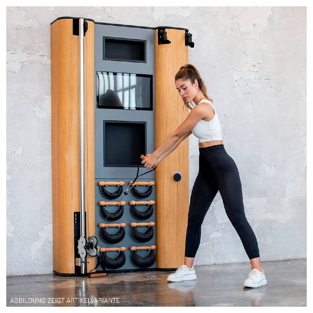 Sport Tec NOHrD Wall Compact, Seilzug, Skitrainer, 8 Swing Hanteln, Nussbaum Flash Sale