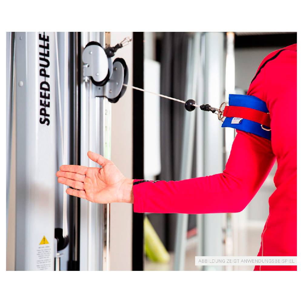 Sport Tec Lojer Doppelzugapparat Speed Pulley 80 Fabrik Onlineshop