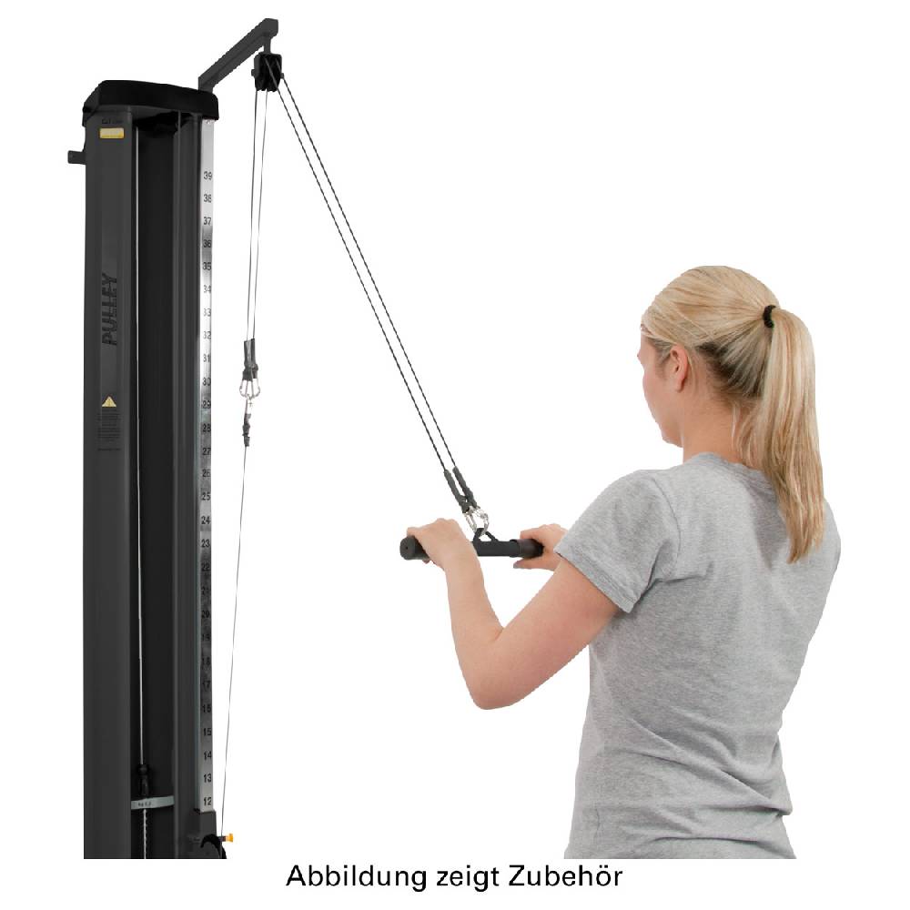 Sport Tec Galgen für Doppelzugapparat Speed Pulley, 50 kg im Angebot