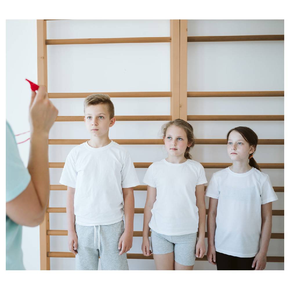 Sport Tec Sprossenwand Standard, BxH 80x230 cm, 10 Sprossen, inkl. Übungsposter Top Angebot