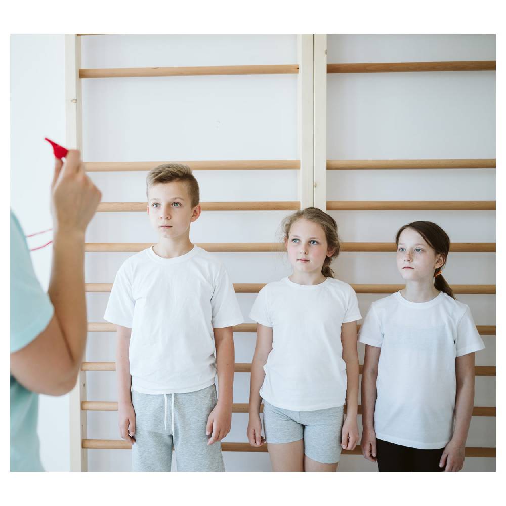 Sport Tec Sprossenwand nach DIN, BxH 200x260 cm, 2 Felder, je 16 Sprossen Online Outlet