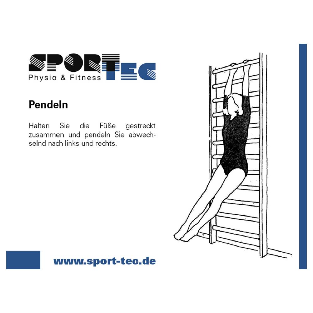 Sport Tec Sprossenwand nach DIN, BxH 200x260 cm, 2 Felder, je 16 Sprossen Online Outlet