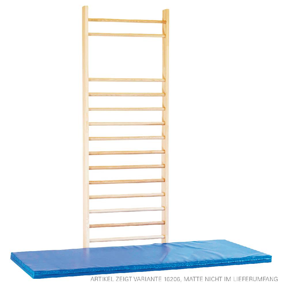 Sport Tec Sprossenwand nach DIN, BxH 100x260 cm, 16 Sprossen