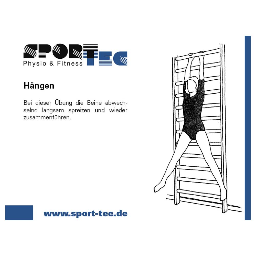 Sport Tec Sprossenwand, BxH 80x230 cm, 14 Sprossen Exklusive Angebote