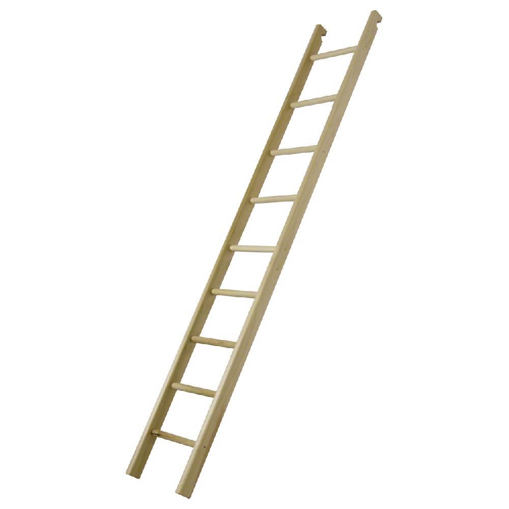 Sport Tec Turnleiter für Sprossenwand, LxB 240x35 cm, 9 Sprossen