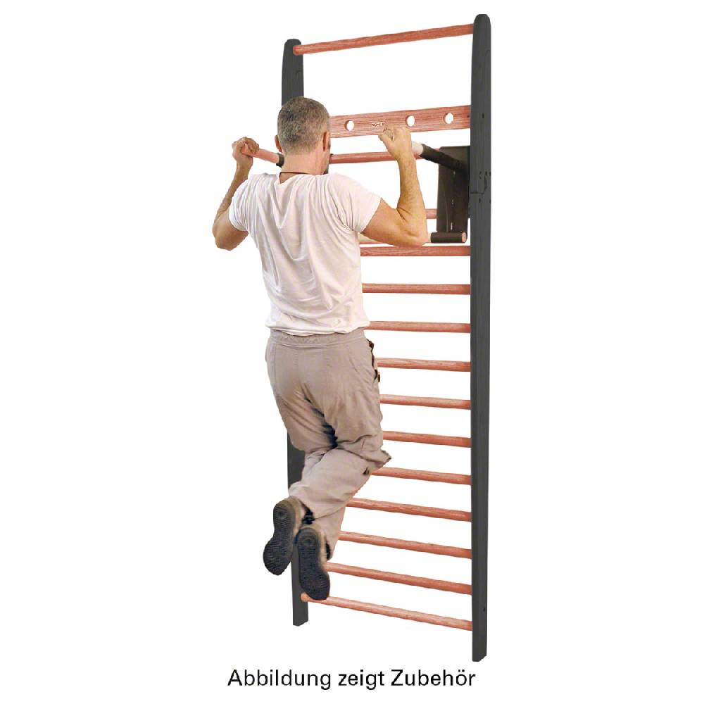 Sport Tec NOHrD Multi-Adapter Club-Sport Klimmzugbügel und Dipstation für Sprossenwand VIP-Rabatte